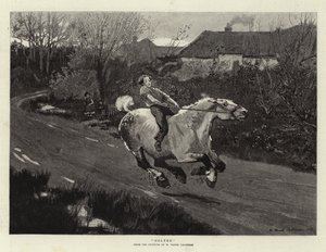 Boltet